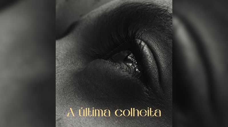 “A Última Colheita” do realizador Nuno Boaventura Miranda integra Festival Internacional de Cinema em Luanda