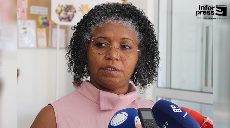Presidente da Colmeia diz que falta de financiamento coloca continuidade dos serviços em risco