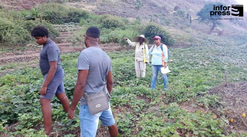 Porto Novo: Agricultores unem-se para repor fornecimento de água em Chã de Branquinho