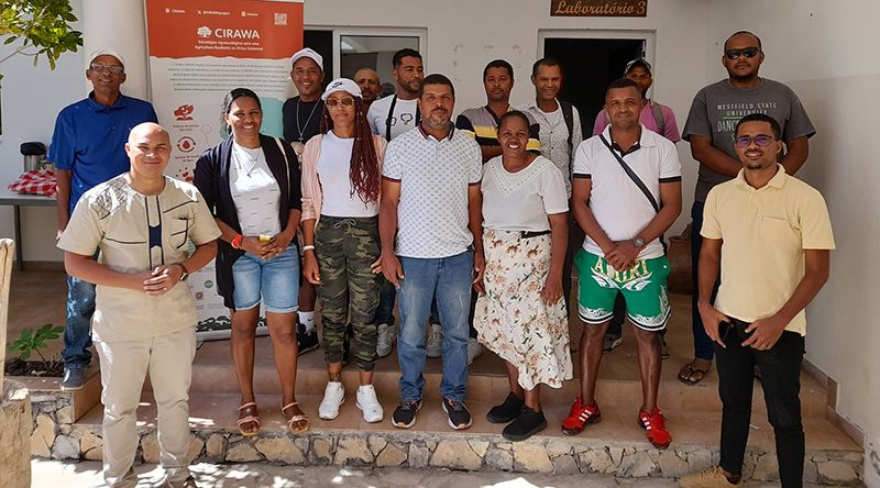 Santo Antão: Agricultores e criadores de gado capacitados em gestão financeira
