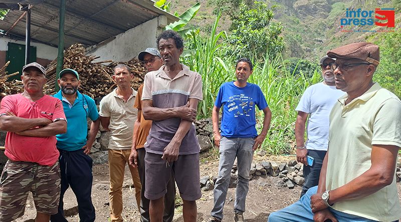 Santo Antão: Agricultores e proprietários do Paul pedem prolongamento do prazo de produção de grogue
