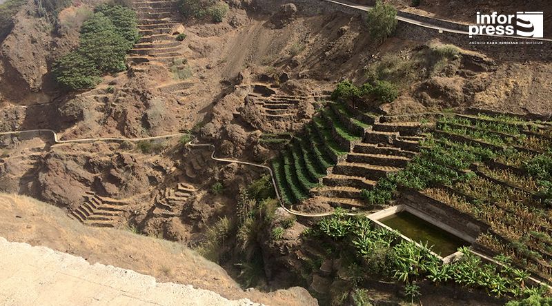 Porto Novo: Agricultores acreditam que 2025 pode ser ano de mobilização de água para agricultura neste município 