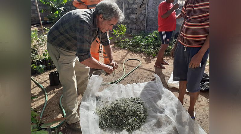 Porto Novo acolhe mesa-redonda sobre práticas e políticas agroecológicas em Cabo Verde