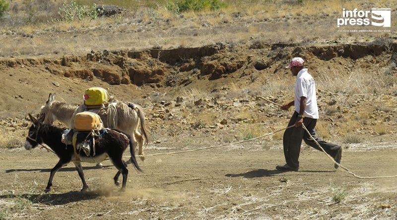 Porto Novo: Habitantes do Planalto Norte enfrentam dificuldades no abastecimento de água