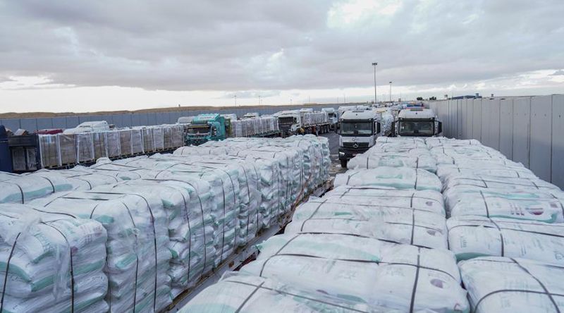 Ajuda humanitária começa a entrar em Gaza a partir do Egipto