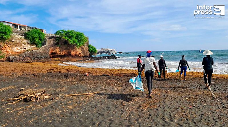 Santiago Norte: Comunidades mobilizam-se enquanto Sargassum desafia praias e meios de vida
