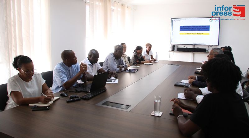 Relatório preliminar prevê quebra de 75% na produção de milho e feijão no ano agrícola 2025/2026