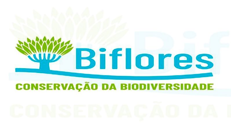 Brava: Associação Biflores participa no programa “Green Citizen” da UNESCO (c/áudio)