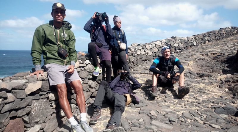 Ambiente: Universidade de Coimbra apoia Terrimar na definição da estratégia de conservação do guincho