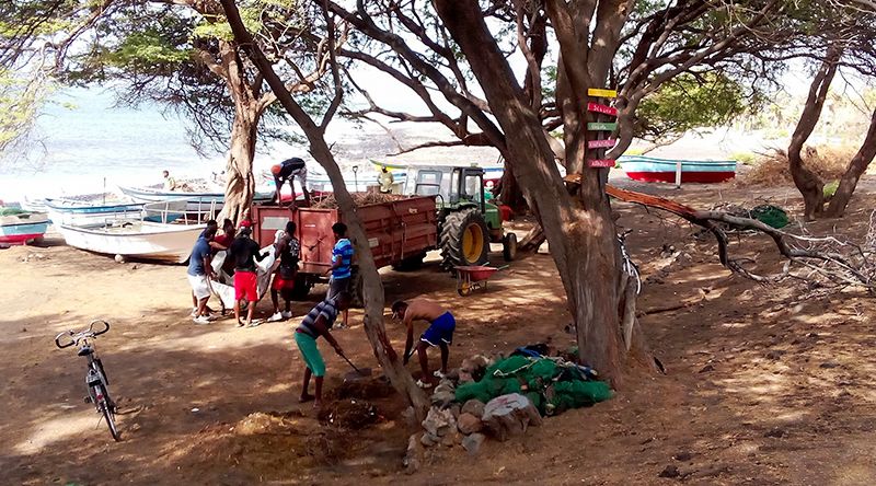 Porto Novo: Associação de pescadores destaca envolvimento da classe na limpeza das praias