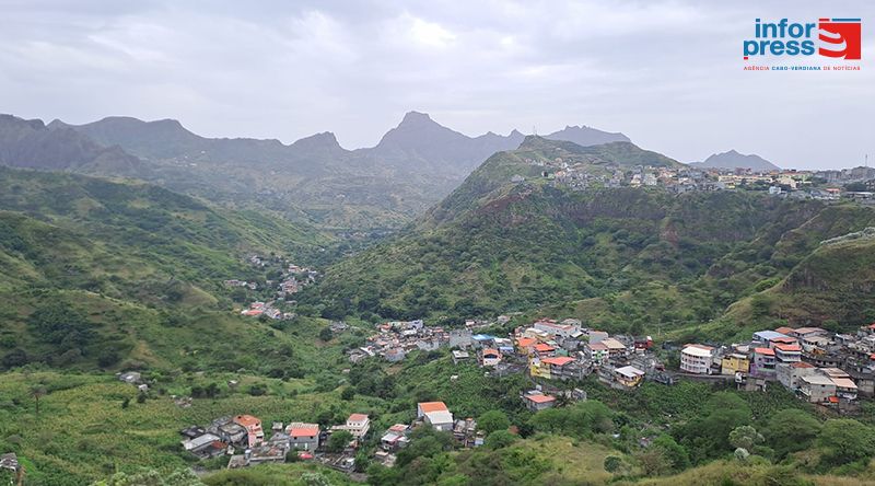 Praga de ratos fora de controlo preocupa população de Santa Catarina