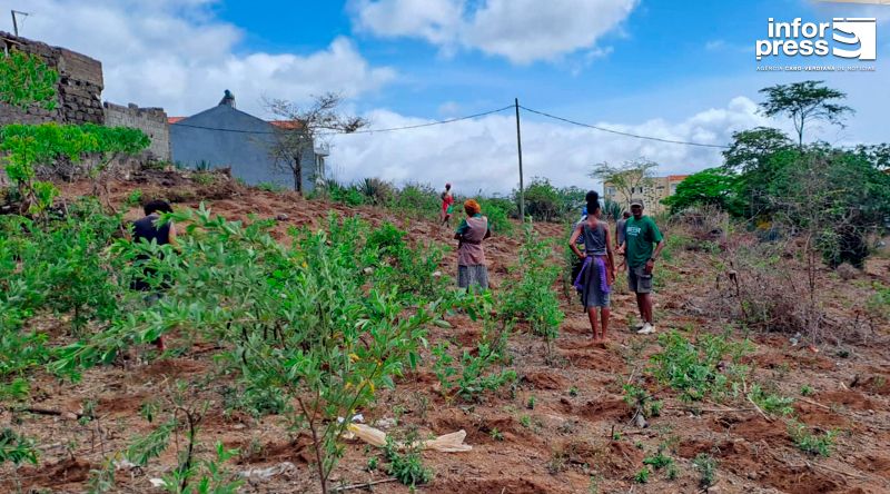 Chuvas animam agricultores em Santiago Norte e unem famílias e comunidades na sementeira