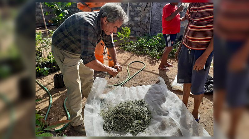 Santo Antão: CIRAWA lança campanha “Embaixadores da agroecologia” para mobilizar agricultores para práticas agroecológicas