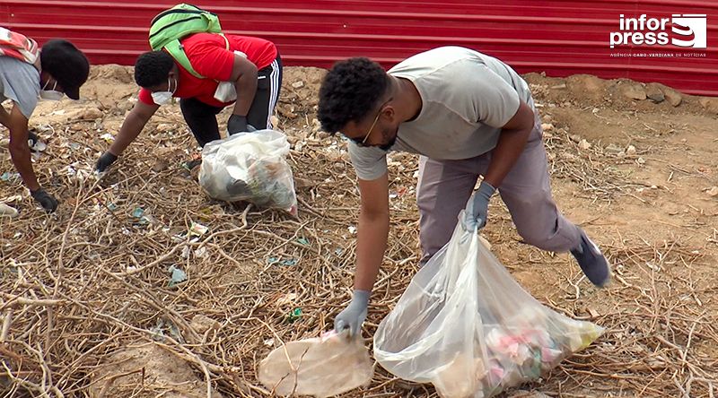 Ilha do Sal: Palmeira limpa com “força total” em acção conjunta da autarquia e Clube de Boxe do Sal