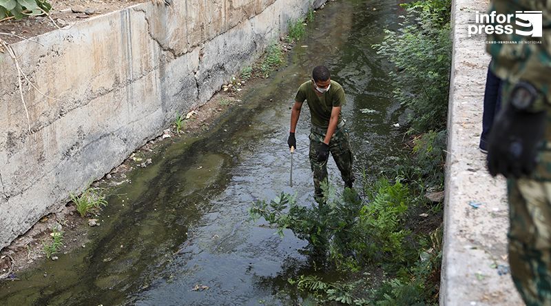 Equipas de saúde em alerta permanente no combate ao mosquito, diz ministro