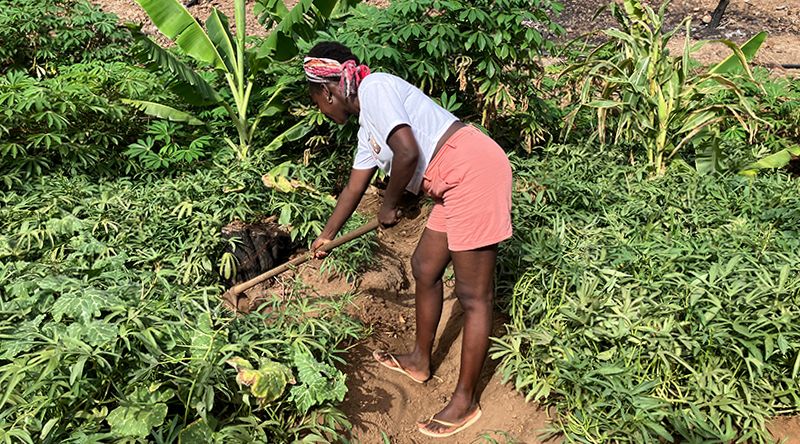 Carla Ribeiro transforma paixão herdada pela terra em negócio agrícola na cidade da Praia