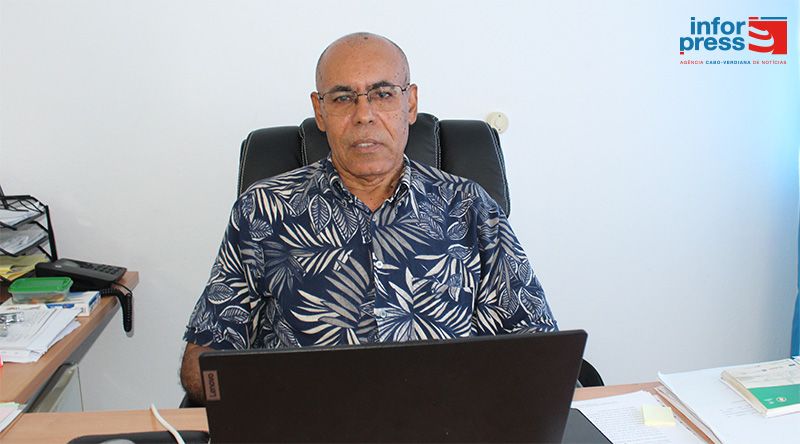 Câmara da Praia vai aplicar coimas de cinco a 500 mil escudos por abate e poda ilegal de árvores - vereador (c/áudio)