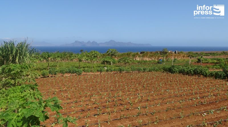 Porto Novo: Falta de água continua a preocupar jovens agricultores da Casa de Meio