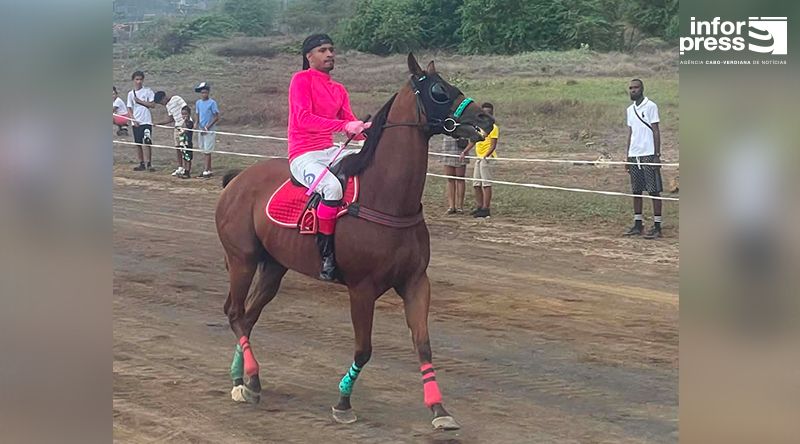 Mosteiros: Cavalo Mestre Moita morre momentos depois de participar em prova de hipismo