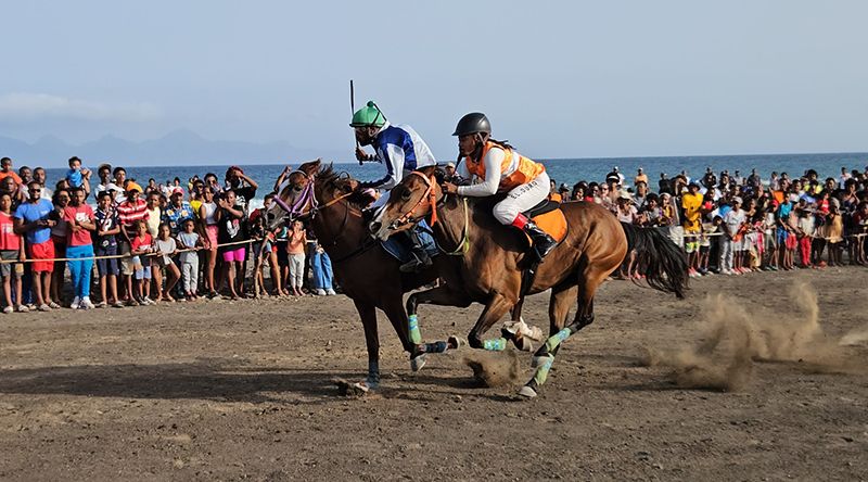Porto Novo/São João: Pfizer conquista corrida de cavalos pelo segundo ano consecutivo 