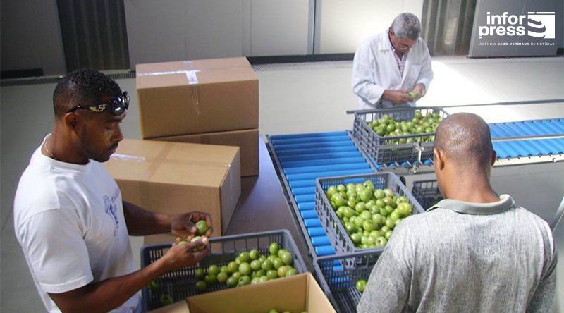 Porto Novo: Novo centro de expurgo concluído e pode ser operacionalizado nos próximos meses 
