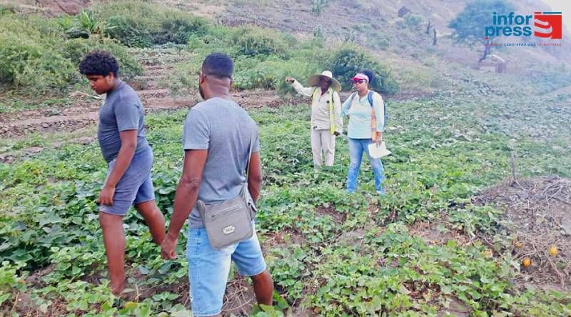 Porto Novo/Chã de Branquinho: Agricultores aliviados com garantia de que barragem subterrânea vai ser recuperada