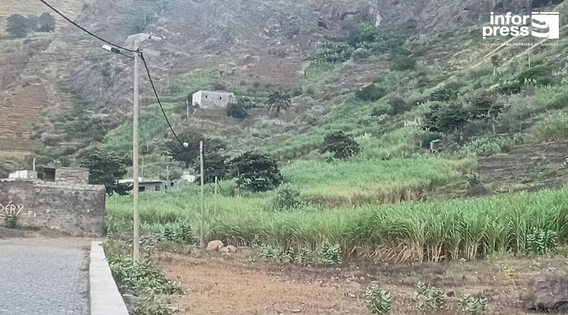 Porto Novo/Chã de Branquinho: Edil aponta solução do problema de água no quadro da recuperação da barragem subterrânea