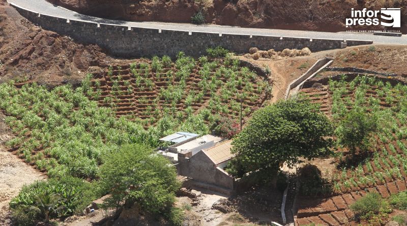 Porto Novo: Agricultores acreditam que barragem subterrânea será recuperada com próximo governo
