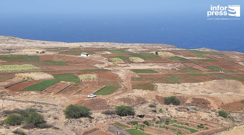 Porto Novo/Chã de Norte: Agricultores voltam a apontar escassez de água e estrada como principais desafios para agricultura local 