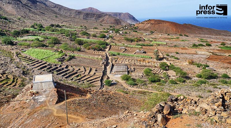 Porto Novo: Edil reafirma aposta na agricultura e requalificação da estrada em Chã de Norte