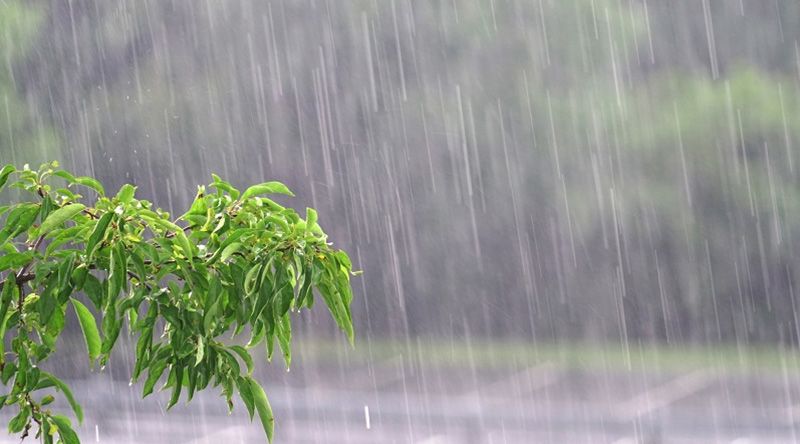 Protecção Civil aconselha população a adoptar medidas de segurança perante previsão de chuva e ventos fortes