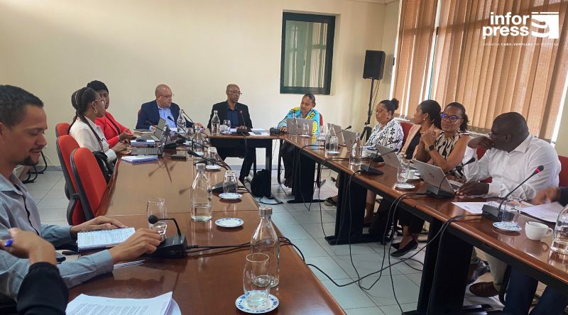 Estatuto do Profissional da Cultura traz benefícios sociais, fiscais e maior formalização do sector – ministro