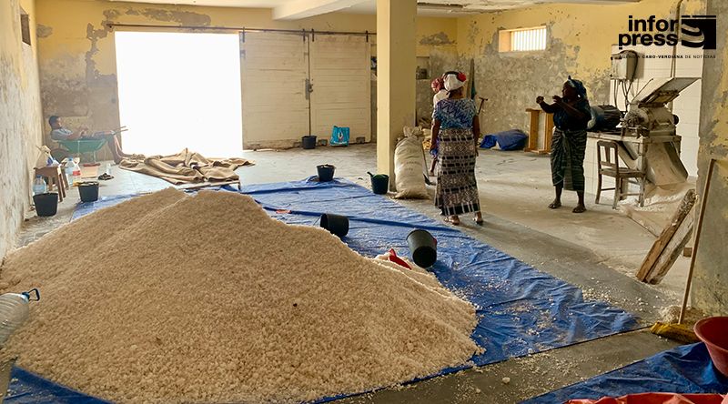 Maio: Cooperativa de produção de sal pede apoio do Governo para revitalizar unidade de produção 
