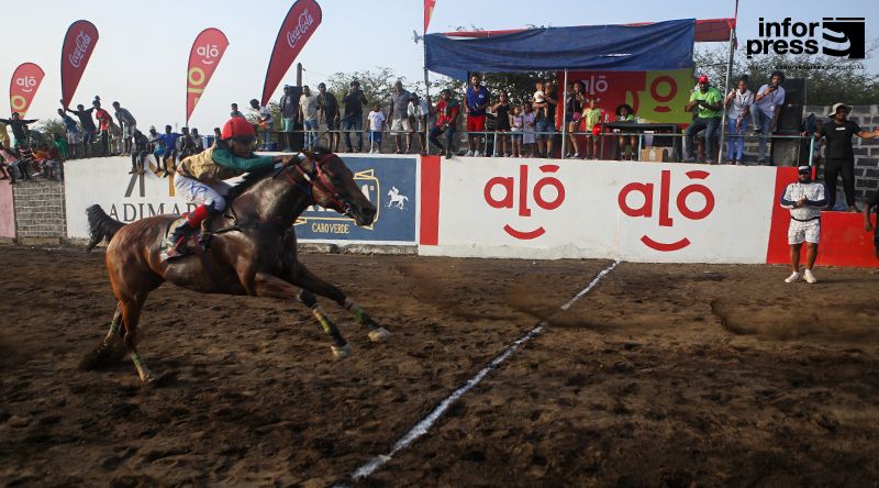 São Filipe: Sorteio define séries da primeira fase da corrida de cavalos