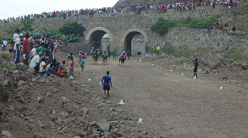 Paul: Égua Marísia vence primeira edição da corrida de cavalos Nossa Senhora de Piedade