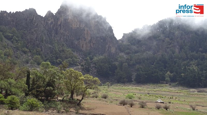   Porto Novo: Amupal esperançada no projecto de produção de vinho no Planalto Leste