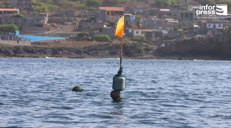 Santa Catarina: Pescadores de Rincão enaltecem benefícios do DCP na aproximação dos cardumes à costa (c/vídeo)