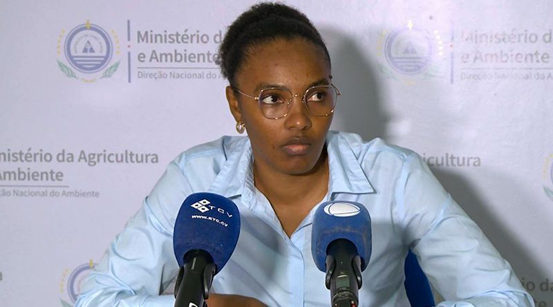 DNA faz ponto de situação da implementação da lei que proíbe comercialização e importação de plásticos descartáveis (corrigido)