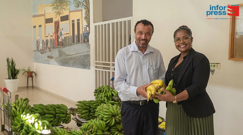 Santo Antão: Elisa Pinheiro diz que produtores agrícolas enfrentam situação complexa a nível da exportação