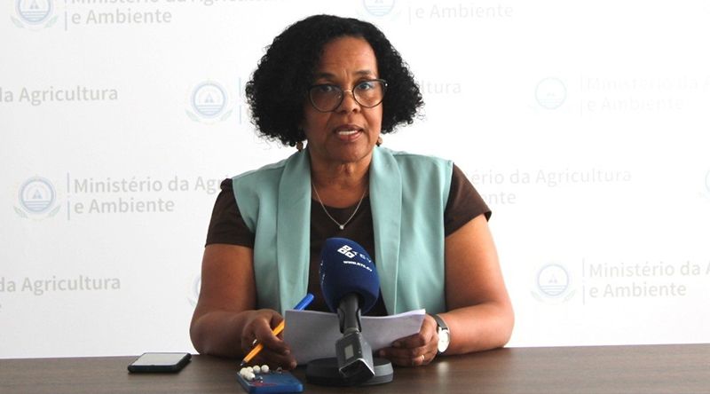 Peste Suína/Boa Vista: Directora-geral da Pecuária esclarece que Governo implementou intervenções emergenciais