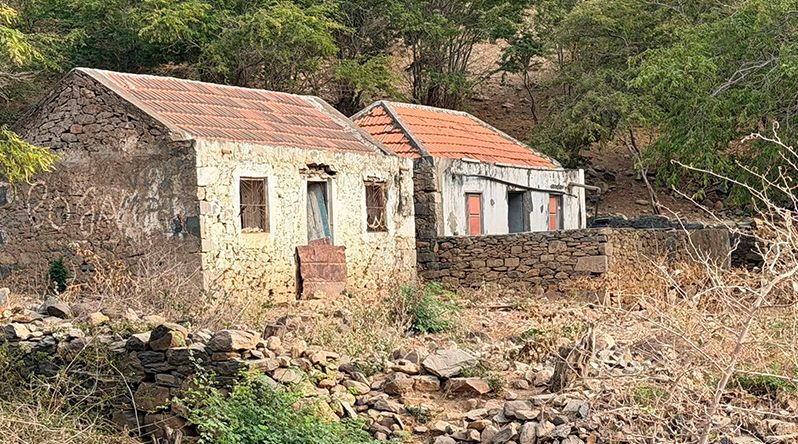 Engenheiro Agrónomo Alerta para Despovoamento Rural e Dependência Alimentar