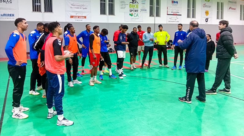 Andebol: Jogador da selecção acusa teste positivo ao Gripe A no estágio de Anadia, Portugal