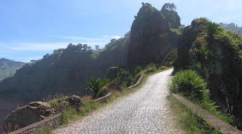 Ribeira Grande: Operadores de transporte turístico pedem limpeza da vegetação nas estradas para melhor segurança