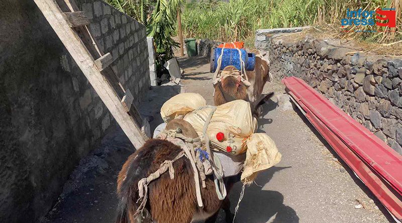 Porto Novo/Estradas: Habitantes de comunidades isoladas sonham com construção de vias de acesso