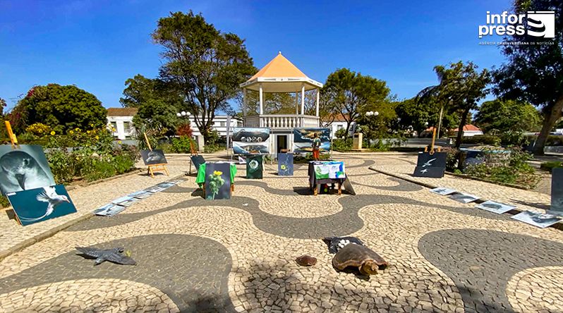 Brava: Projecto Vitó promove exposição sobre biodiversidade do Fogo e Brava (c/áudio)