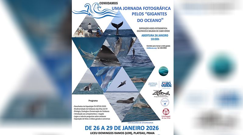 Exposição fotográfica sensibiliza sobre diversidade e conservação de baleias e golfinhos em Cabo Verde