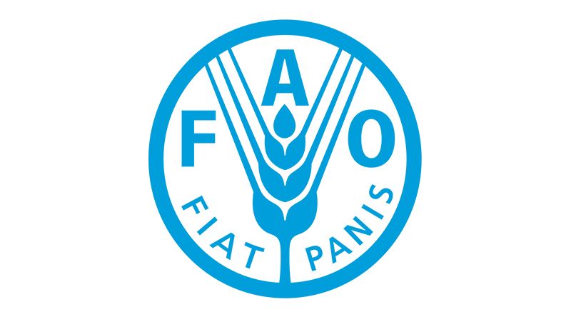 FAO vai doar acervo bibliográfico com cinco mil peças à Uni-CV