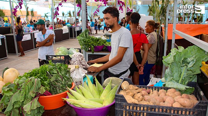 Porto Novo: Feira agropecuária de Ponte Sul/Chã de Mato tem contribuído para alavancar setor agrícola – MAA
