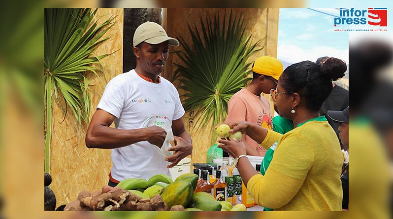 Porto Novo: Feira Agropecuária de Santo Antão 2026 vai ter a duração de uma semana – autarquia