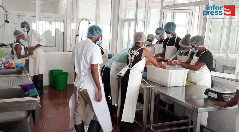 Porto Novo: Associação de pescadores prossegue formação de colaboradores 